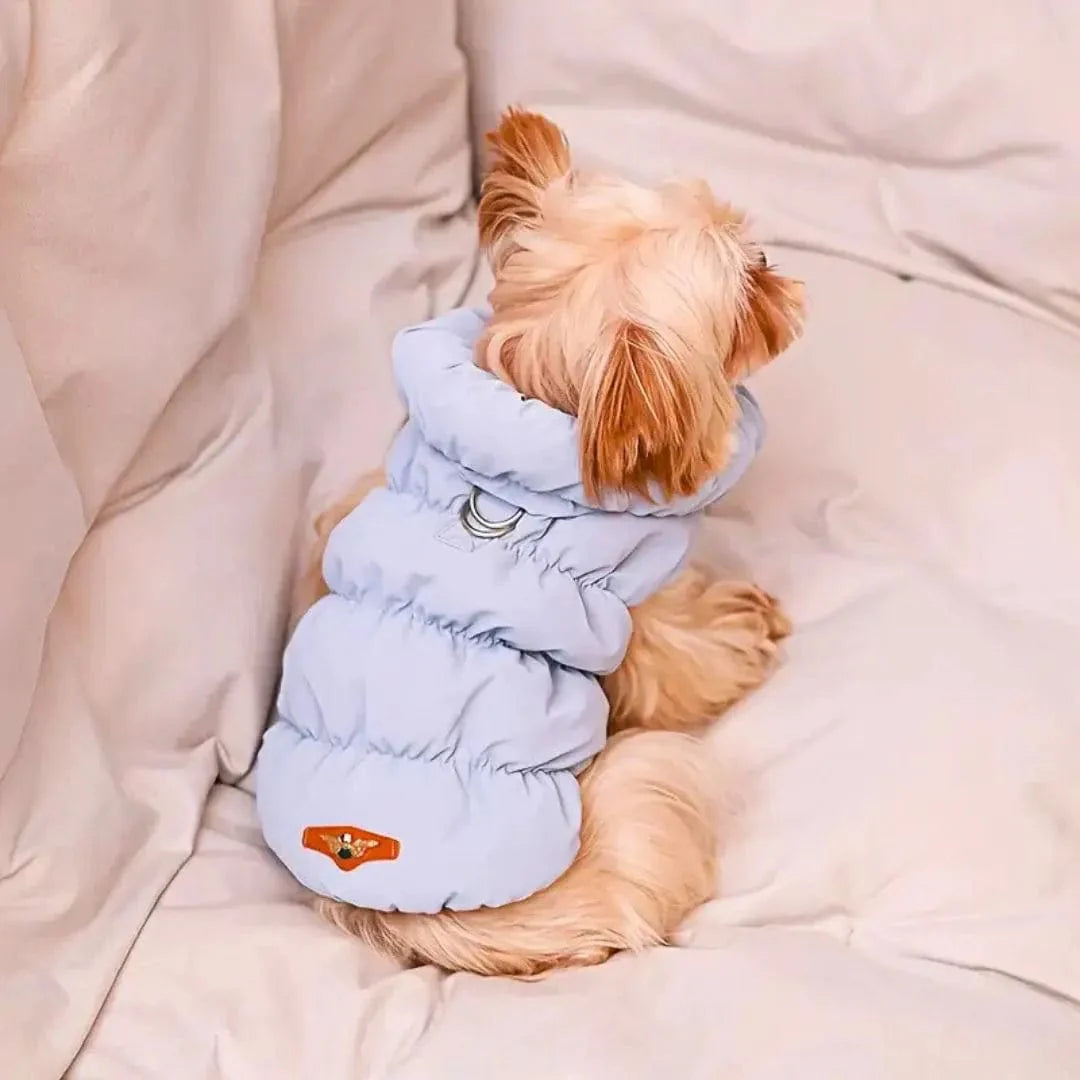 Manteau Petit Chien Hiver Rembourré : Doux et Chaud