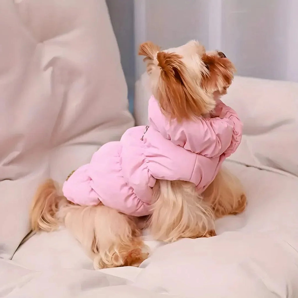 Manteau Petit Chien Hiver Rembourré : Doux et Chaud