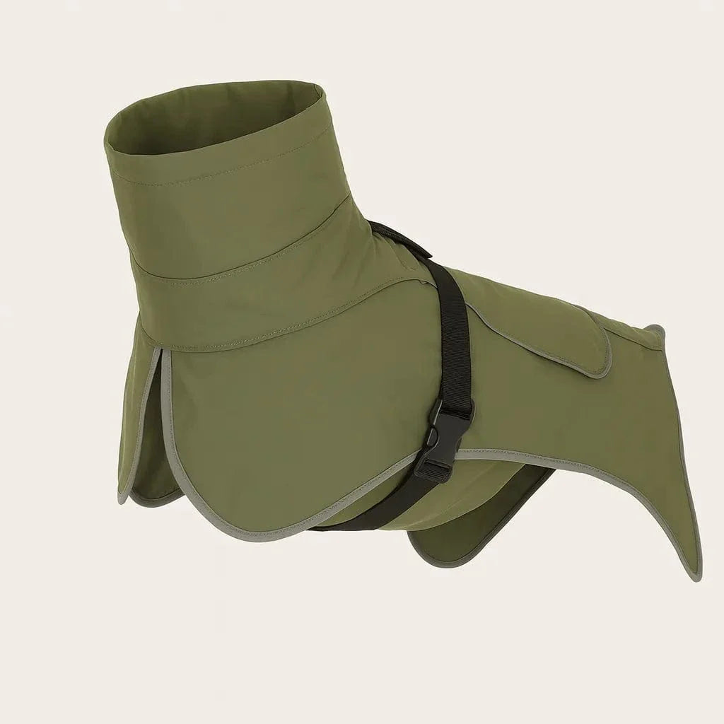 Manteau imperméable pour Dobermann : Coupe ajustée