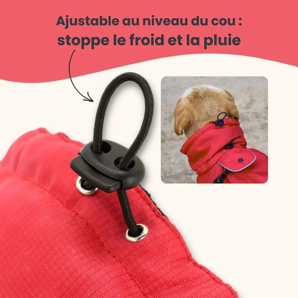 Manteau pour Malinois : Confort et protection totale