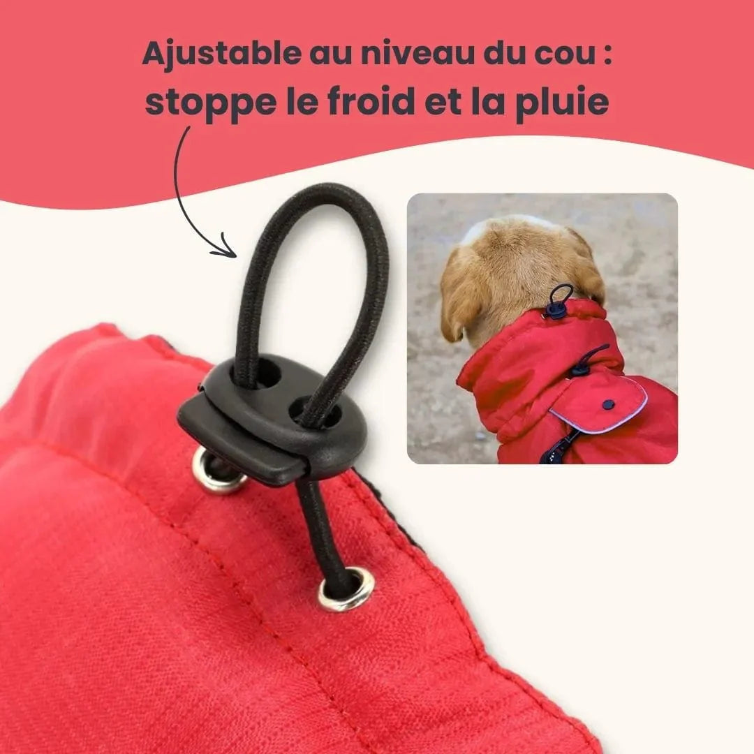 Manteau pour Malinois : Confort et protection totale