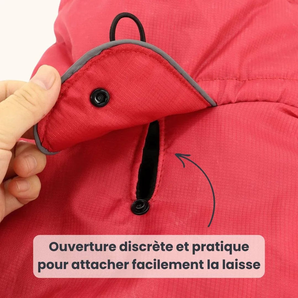 Manteau pour Malinois : Confort et protection totale