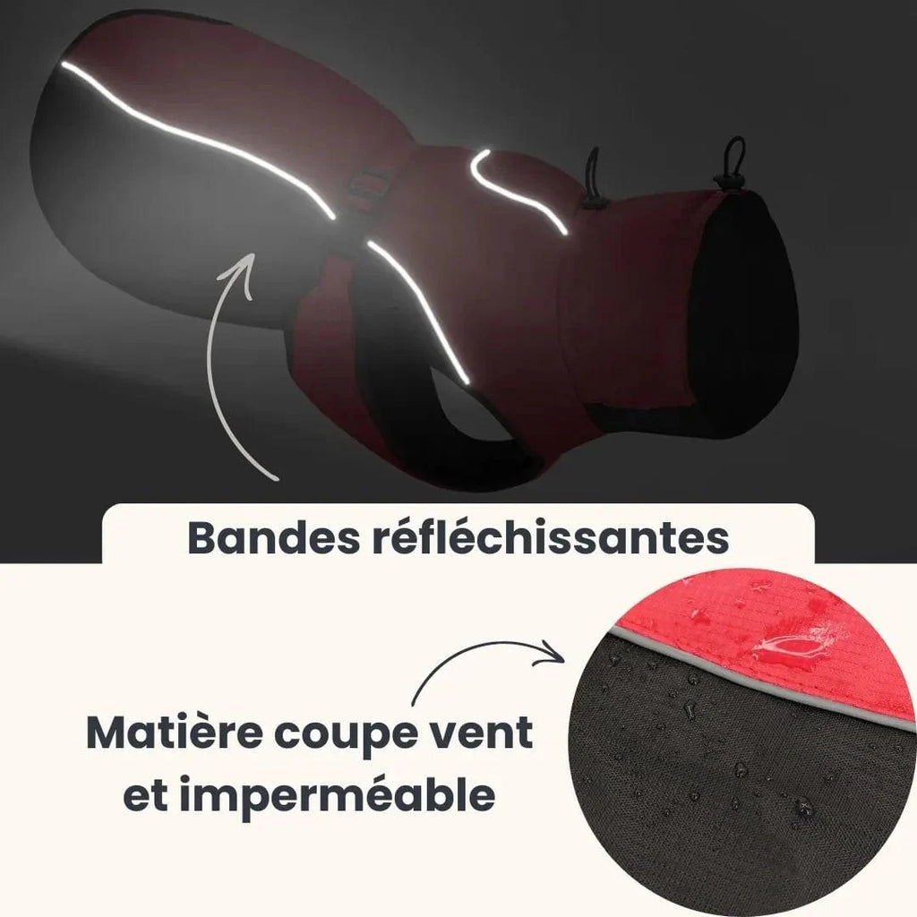 Manteau pour Malinois : Confort et protection totale