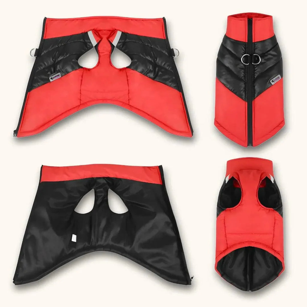 Manteau chien Beagle : Style Doudoune