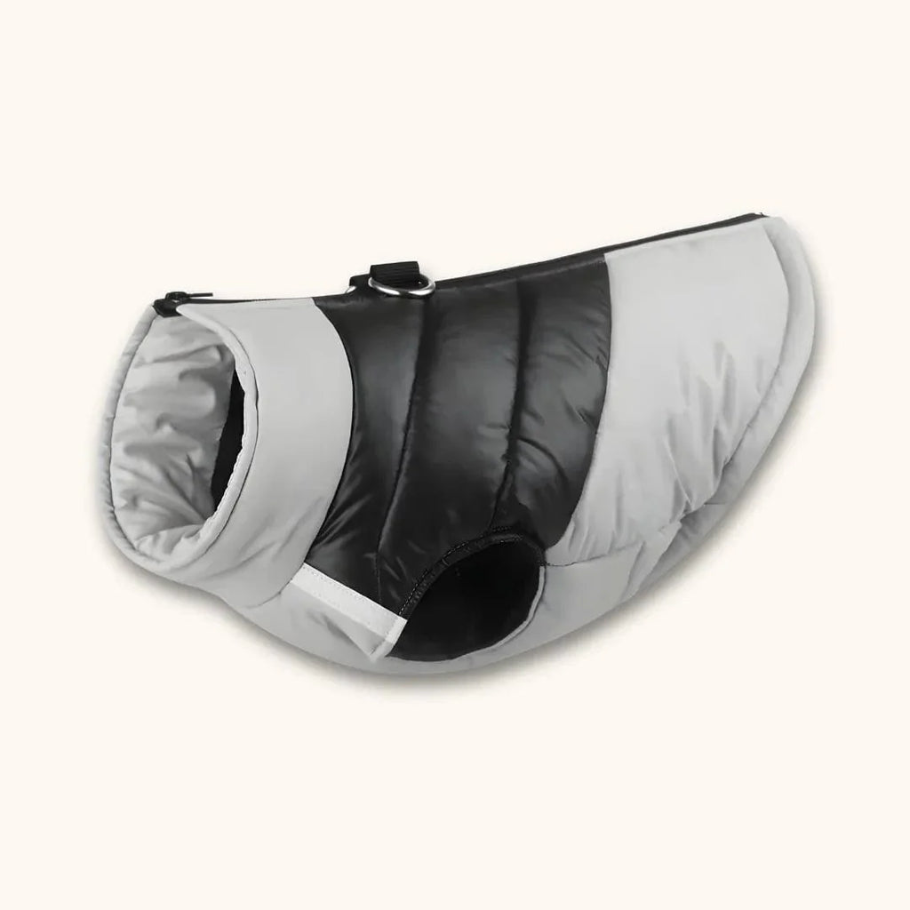 Manteau pour Beagle Style Doudoune | Atelier Canin Gris / S