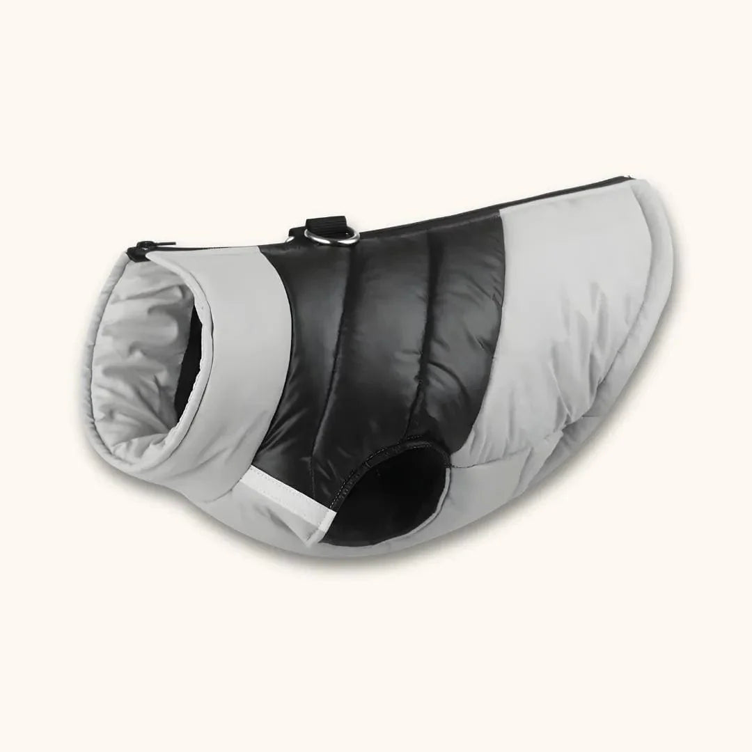 Manteau pour Beagle Style Doudoune | Atelier Canin Gris / S