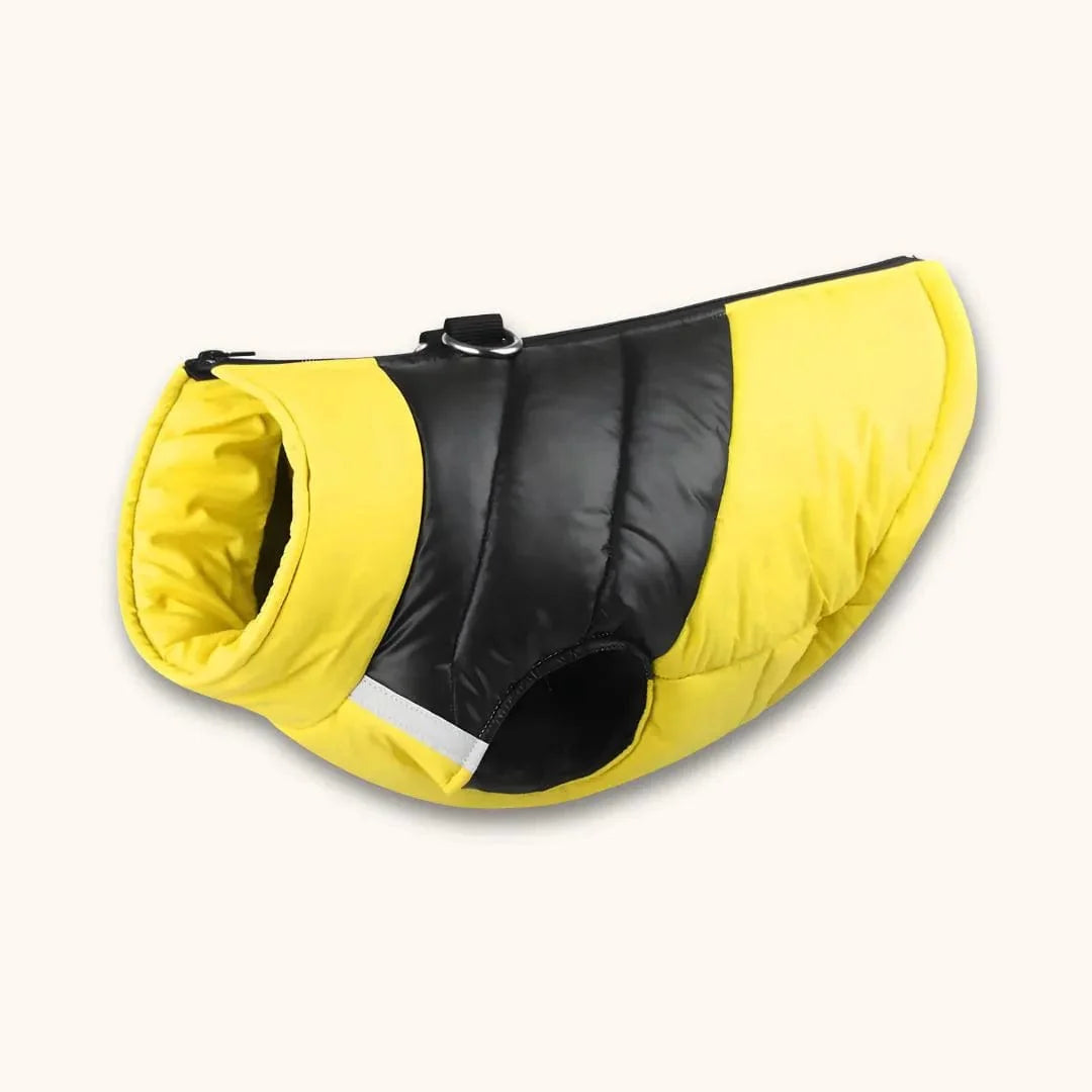 Manteau pour Beagle Style Doudoune | Atelier Canin Jaune / S