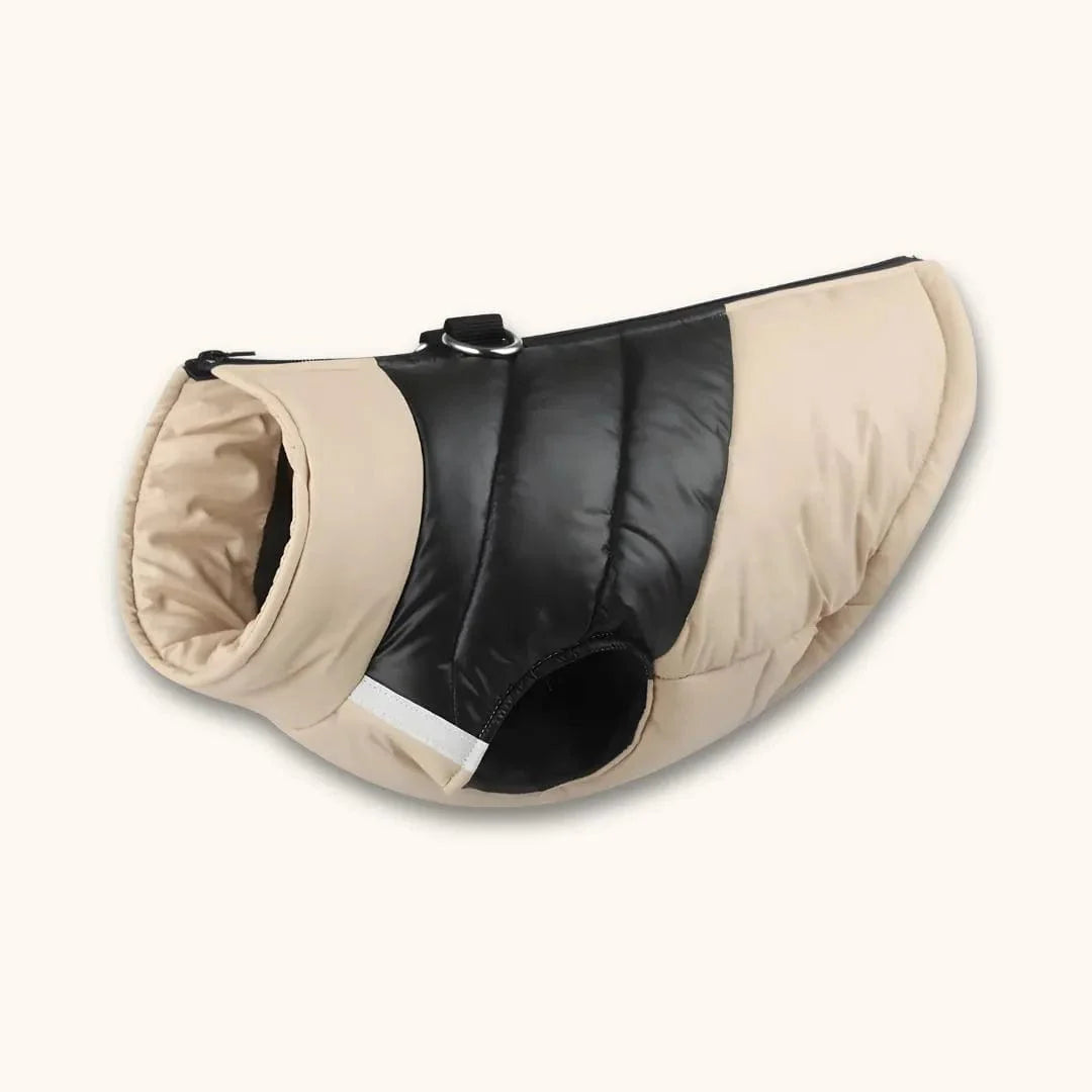 Manteau pour Beagle Style Doudoune | Atelier Canin Khaki / S