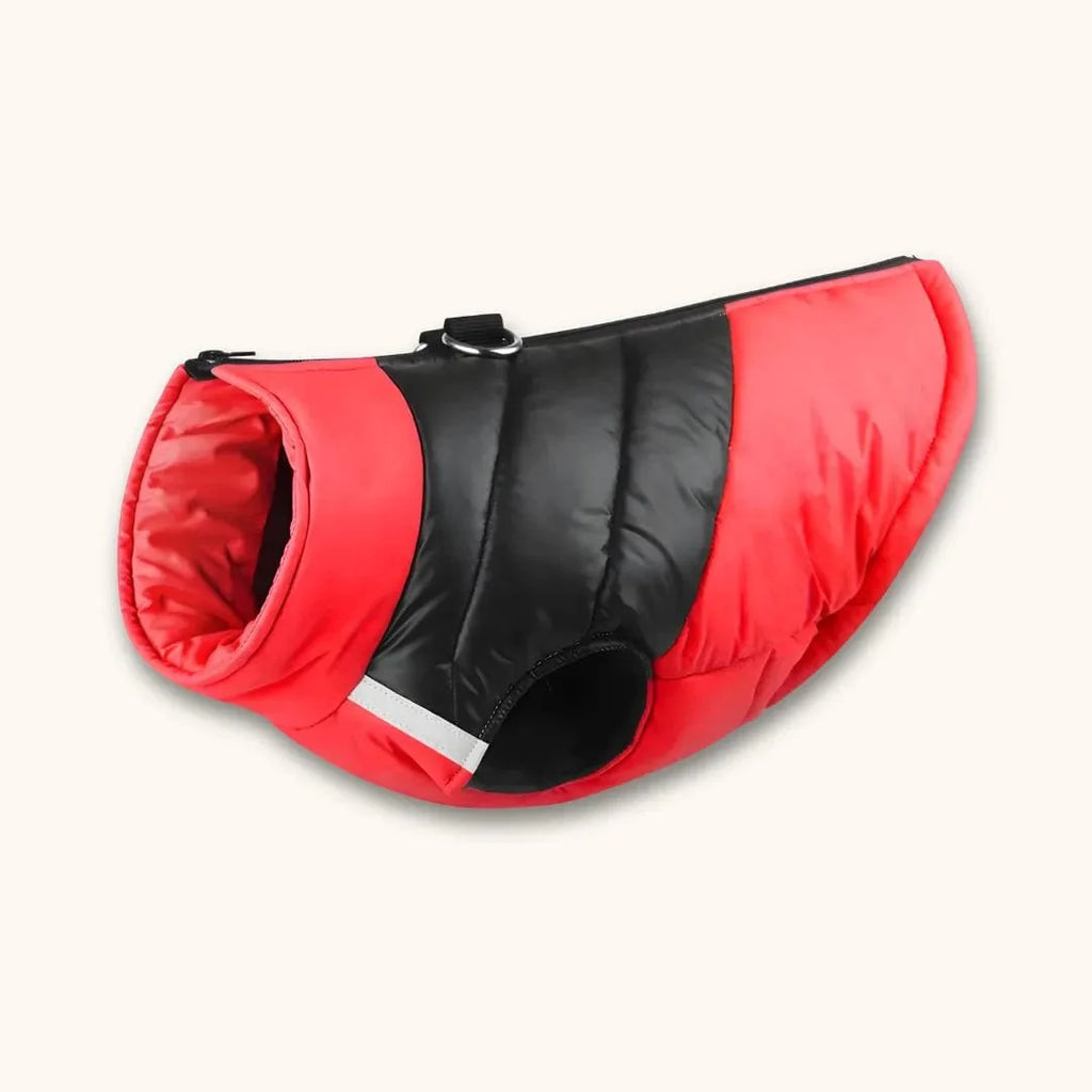 Manteau pour Beagle Style Doudoune | Atelier Canin Rouge / S