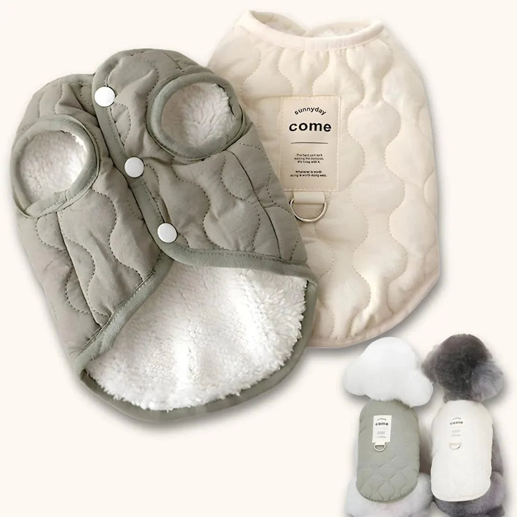 Manteau Caniche : style et confort