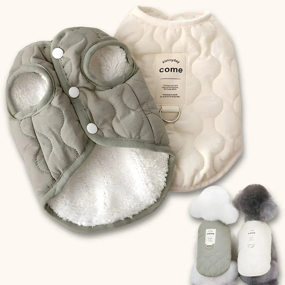 Manteau Caniche : style et confort