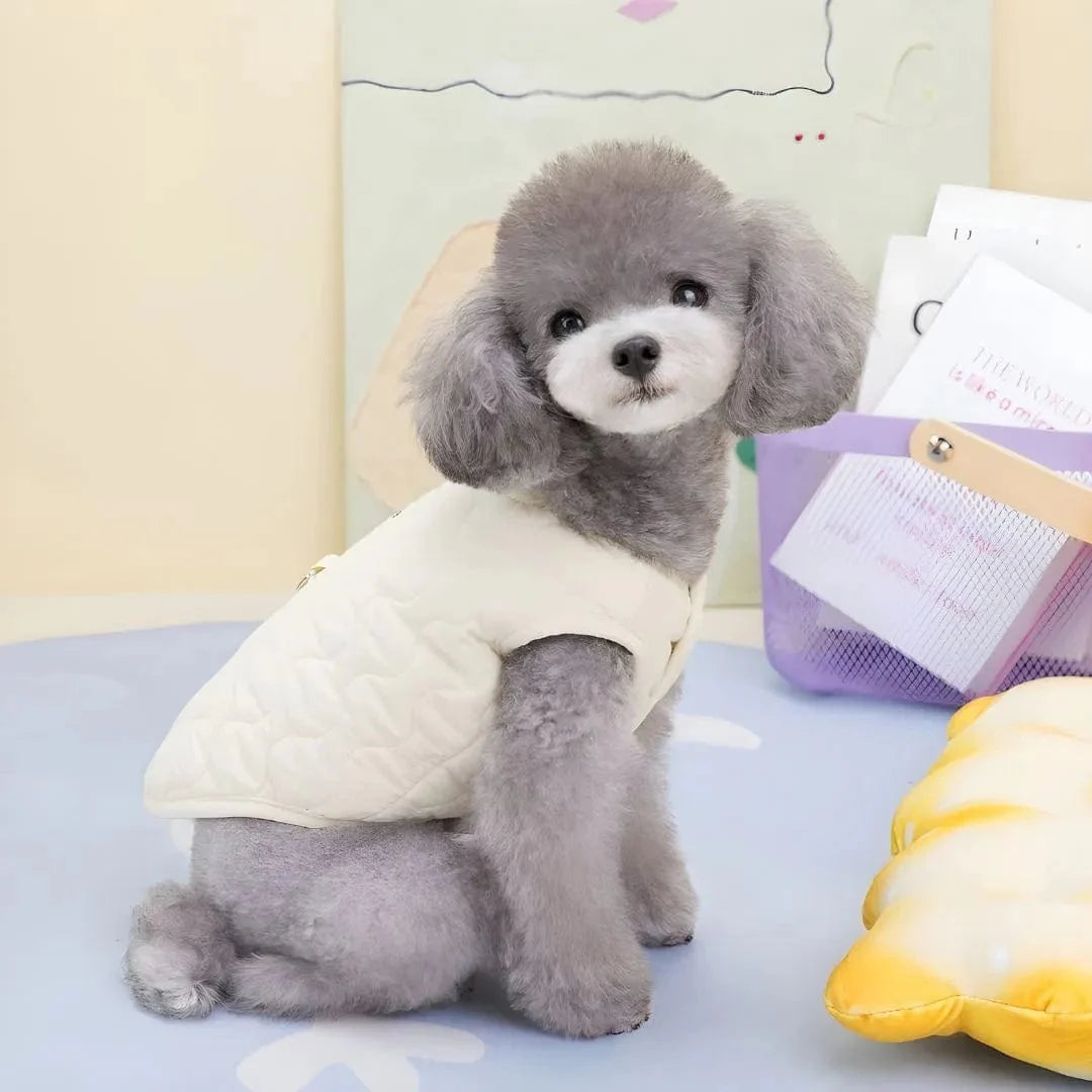 Manteau Caniche : style et confort