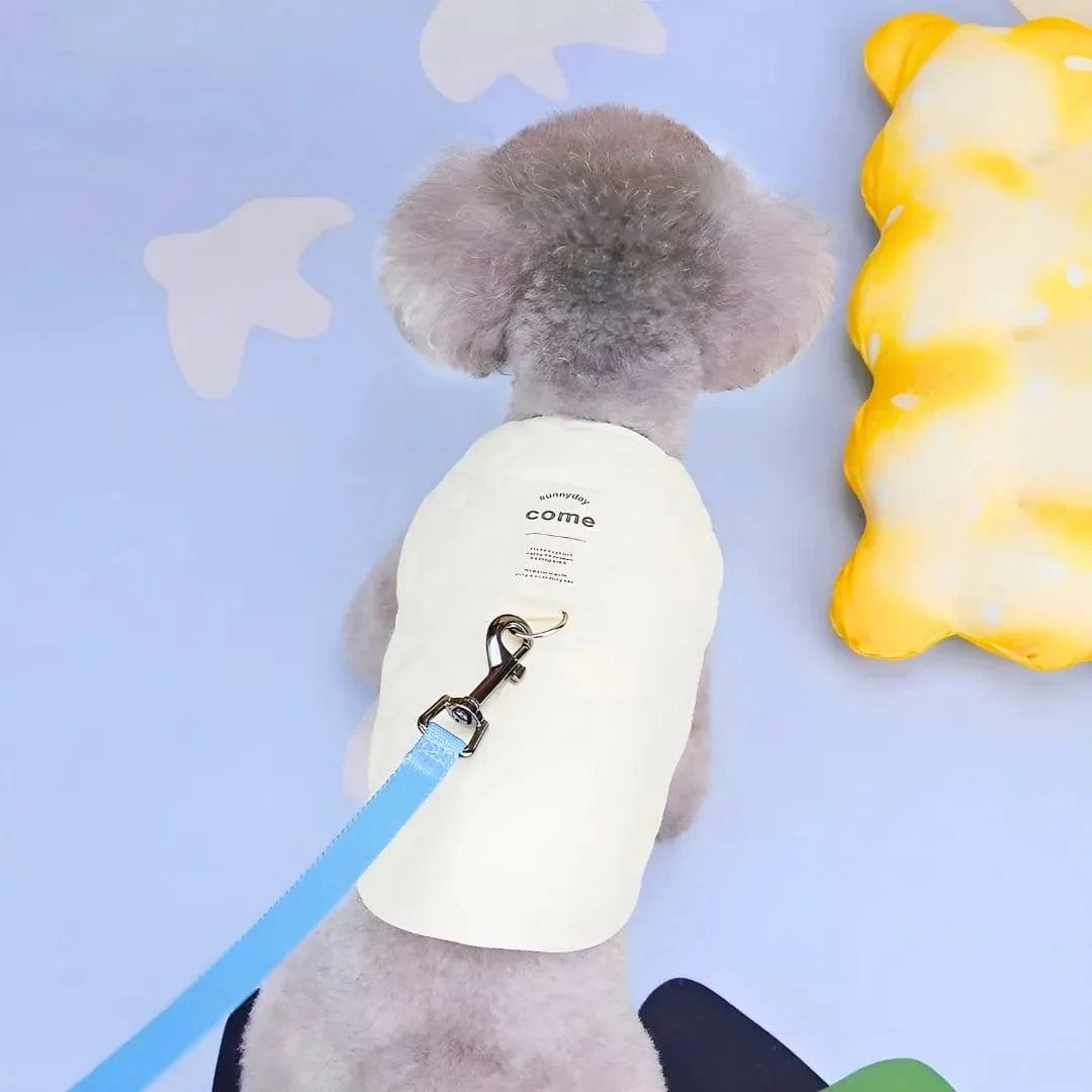 Manteau Caniche : style et confort