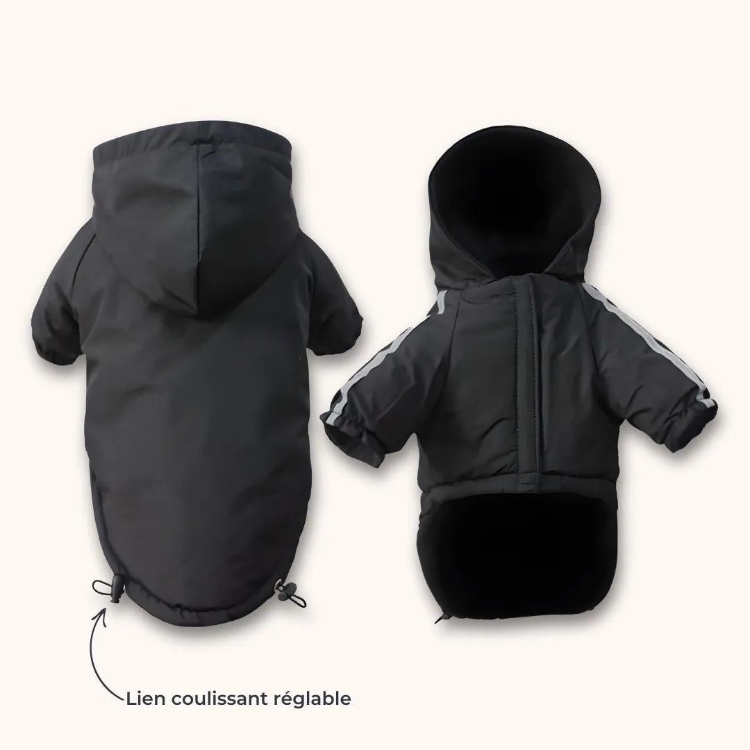 Veste à capuche pour chien - confort et style