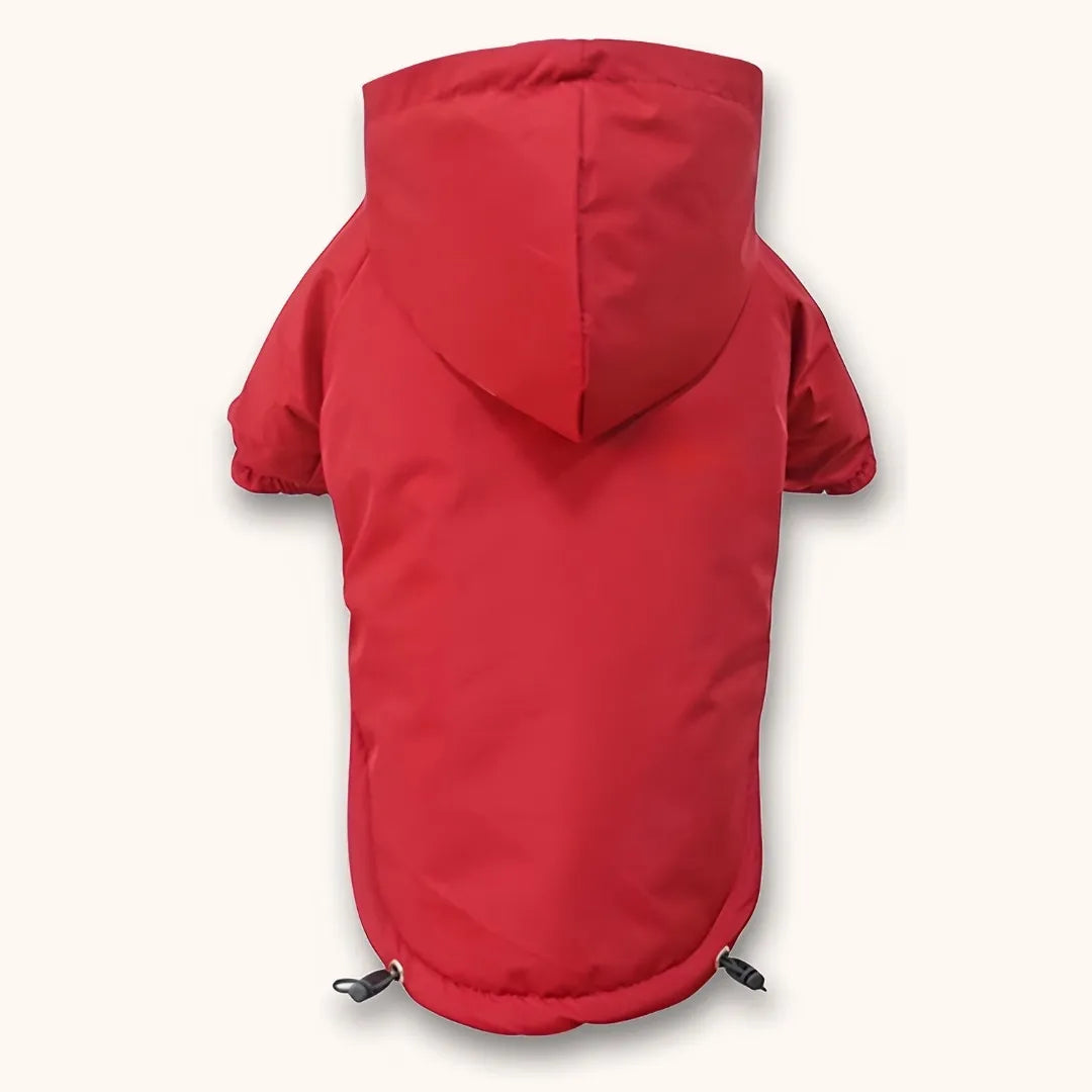 Veste à capuche pour chien - confort et style