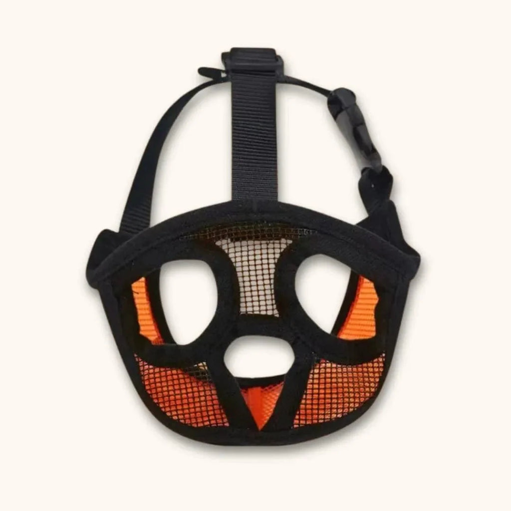 Muselière pour bouledogue français – Pratique et confortable