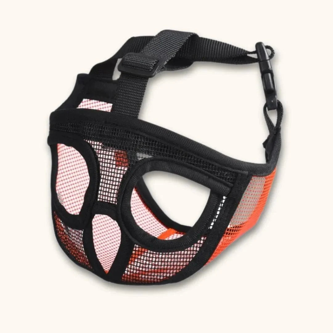 Muselière bouledogue français – Spéciale museau court