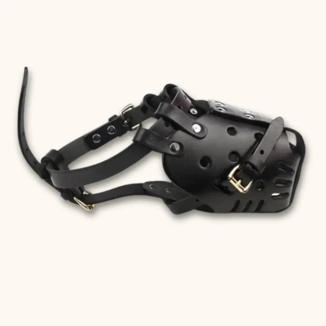 Muselière en cuir pour chien – Qualité premium