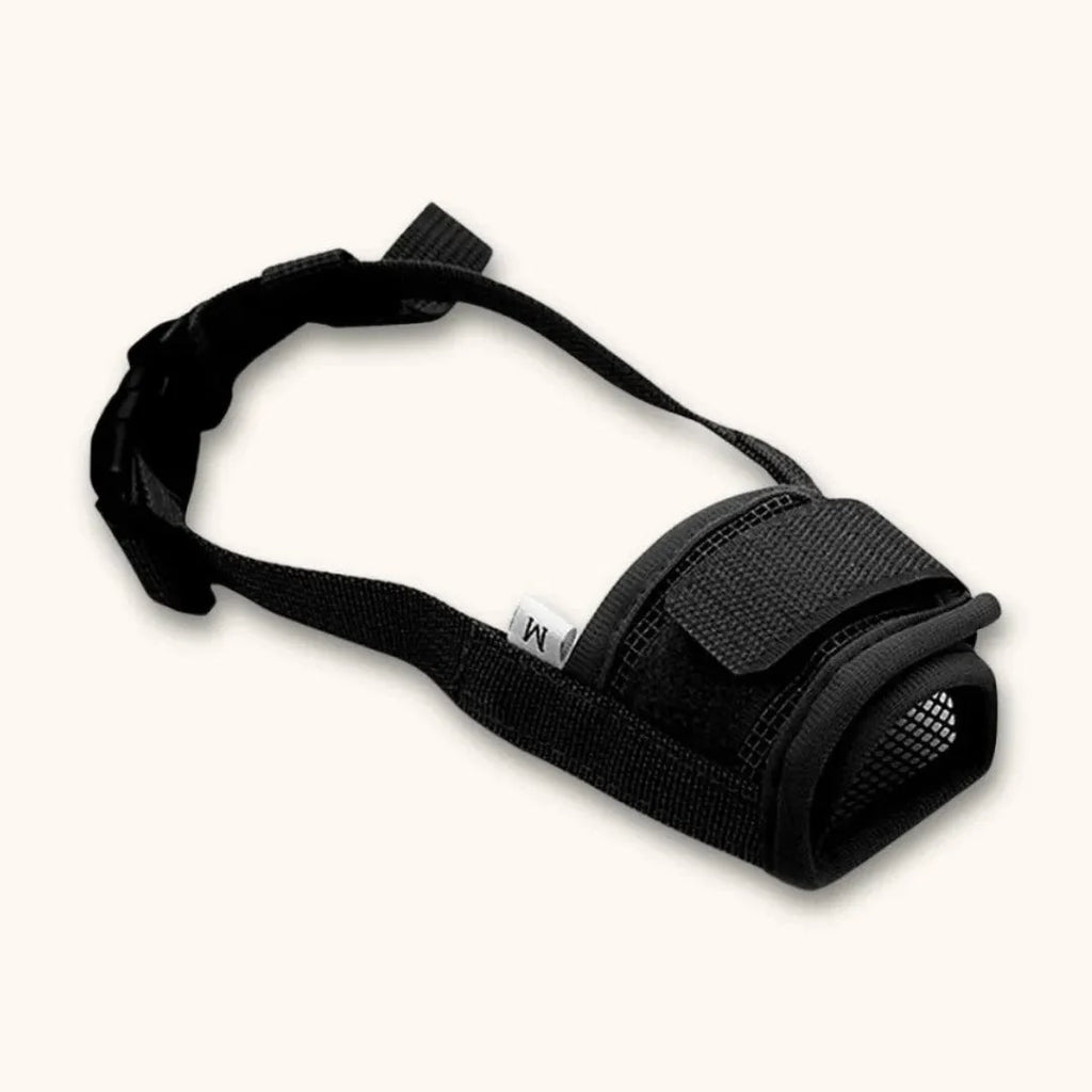 Muselière en nylon pour chien – Simple & efficace