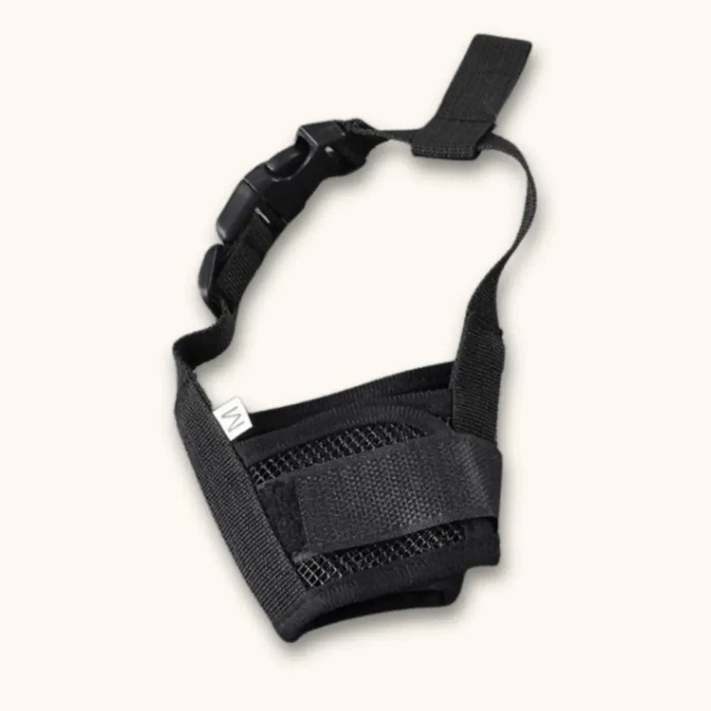 Muselière en nylon pour chien – Pratique et accessible