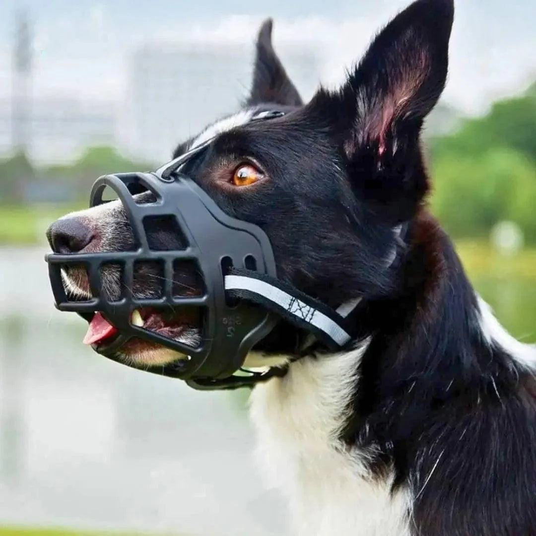 Muselière panier pour chien – Protection et bien-être