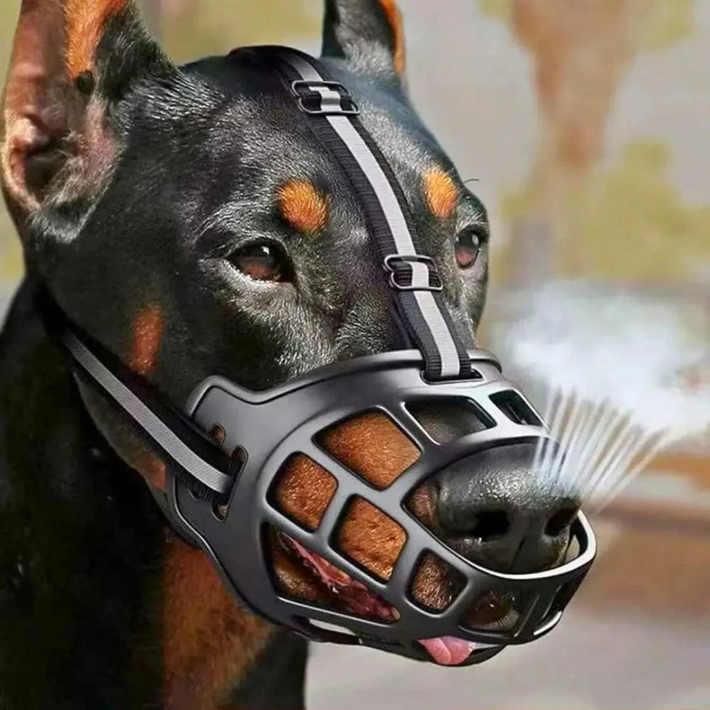 Muselière panier pour chien – Protection et bien-être