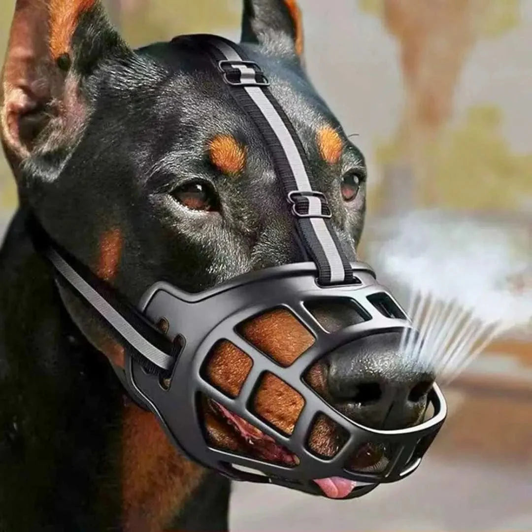 Muselière panier pour chien – Protection et bien-être