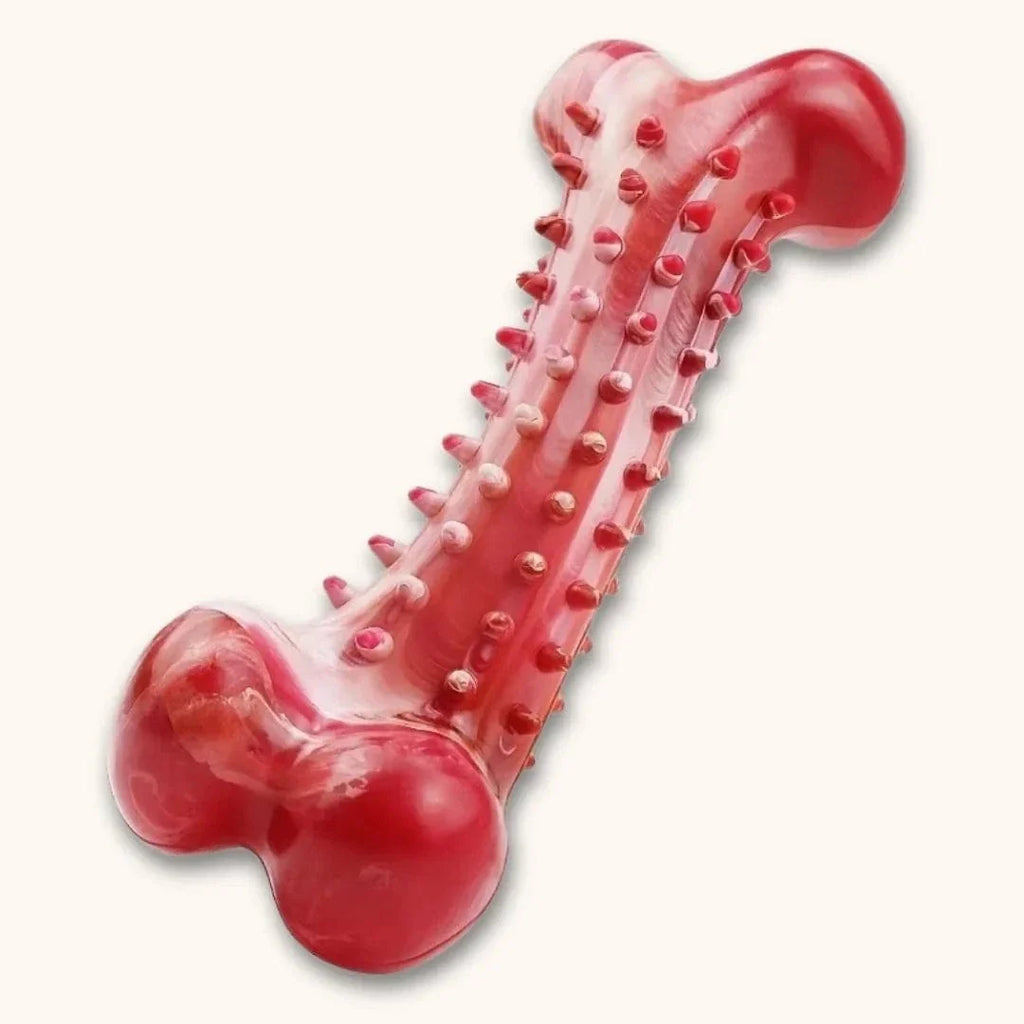 Os à mâcher pour chien en caoutchouc naturel - K9Titan