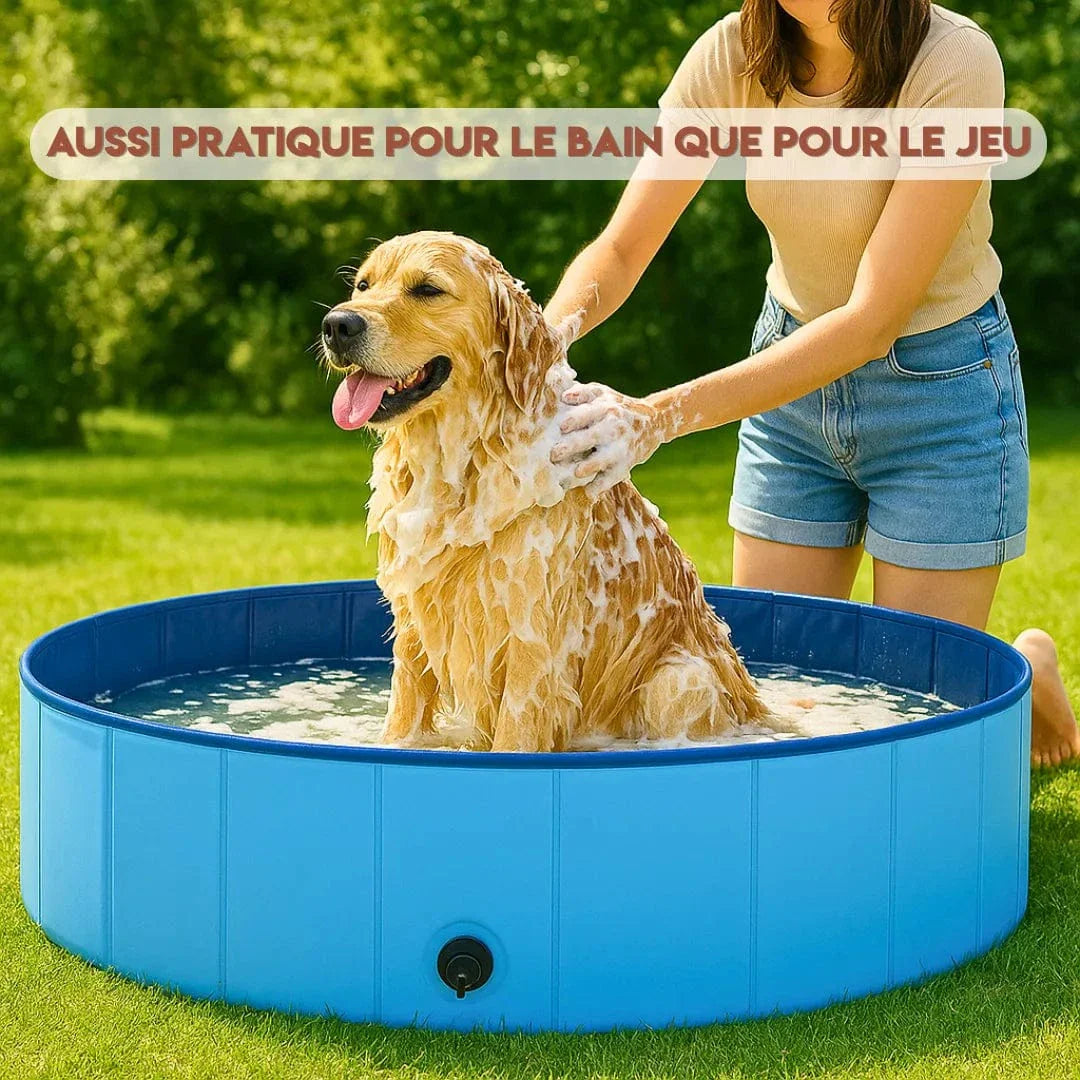 Piscine pour chien pliable – Rafraîchissement instantané