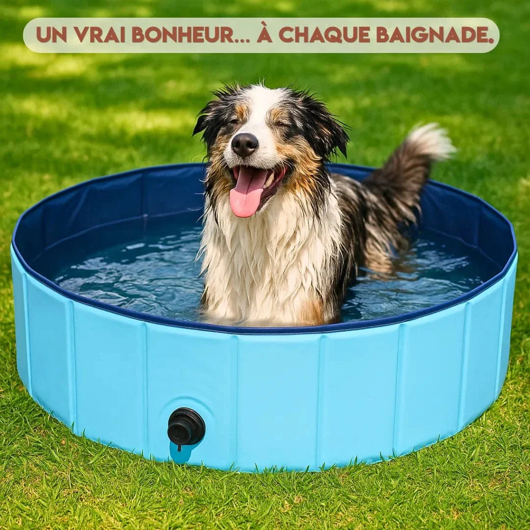 Piscine pour chien – Résistante, portable, facile à vider S  80x20cm