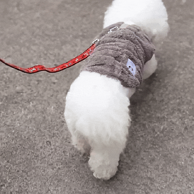 Pull Chaud pour Petit Chien