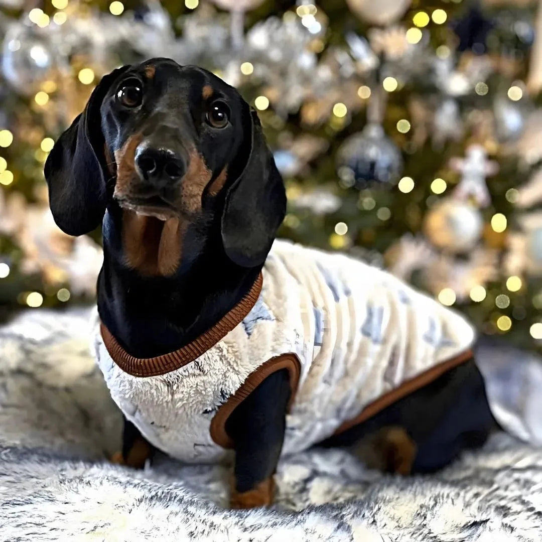 Pull Rigolo Chien - Étoiles