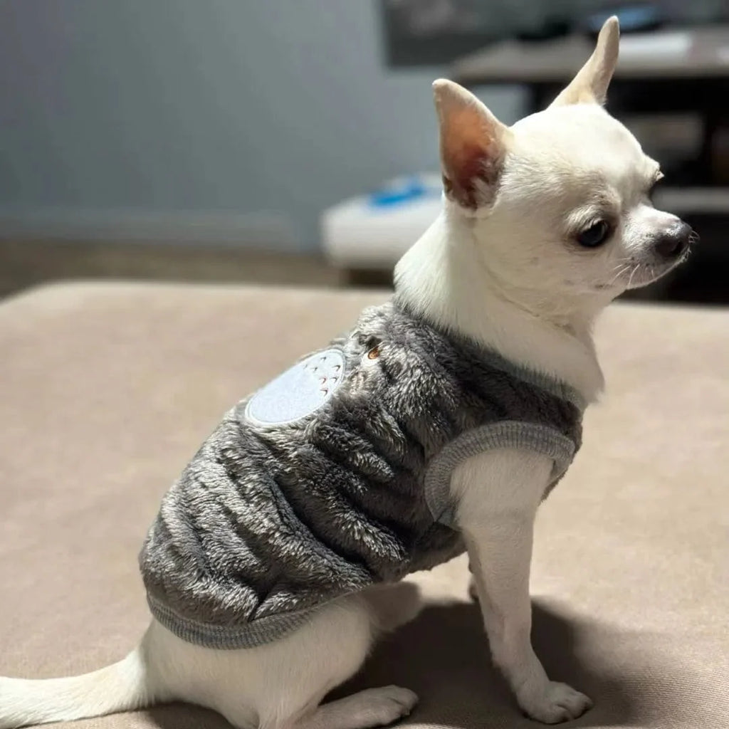 Pull Rigolo Chien - Koala