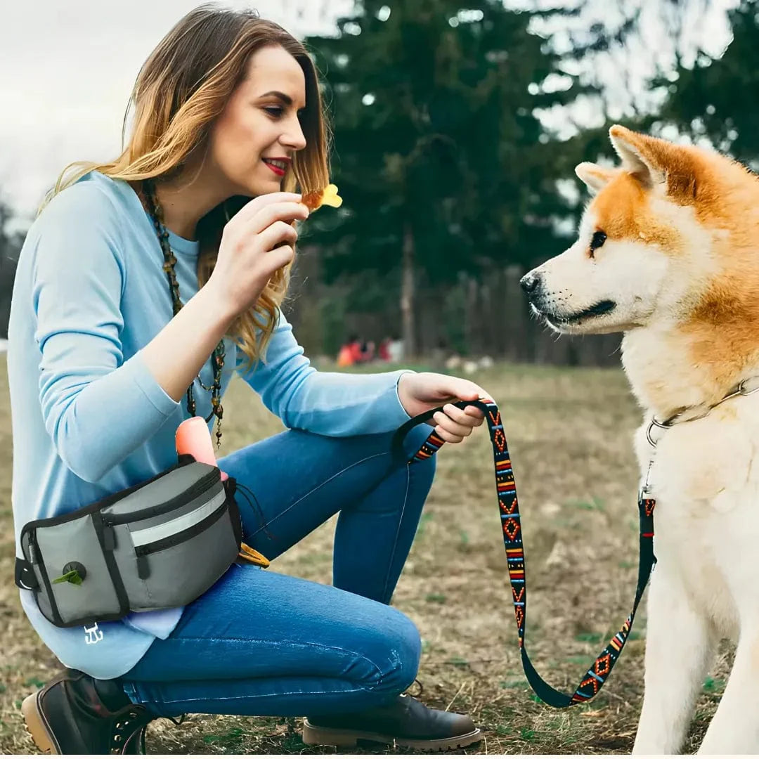 Sac Friandise Chien - Canibag