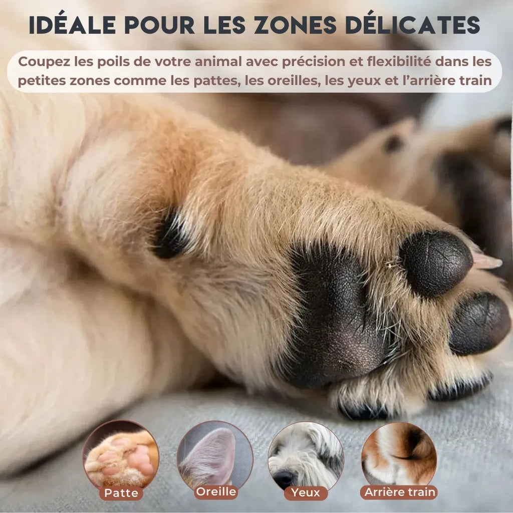Tondeuse pattes chien - PawCare : précise et facile à utiliser