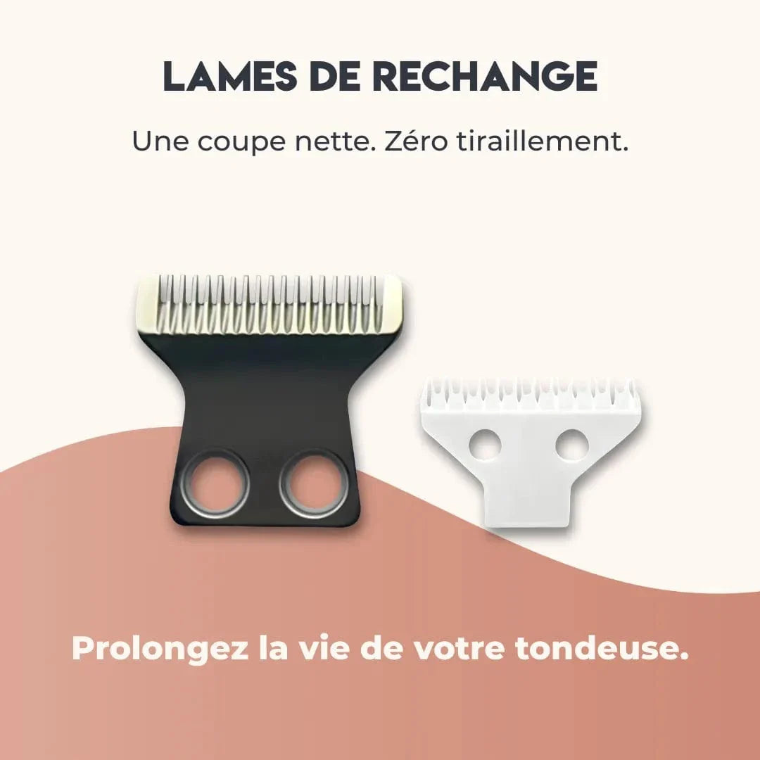 Tondeuse pattes chien, spéciale coussinets - PawCare 1 lame rechange