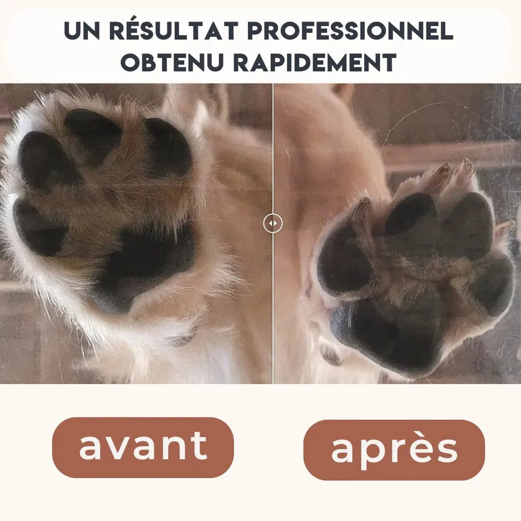 Tondeuse pattes chien - PawCare : précise et facile à utiliser