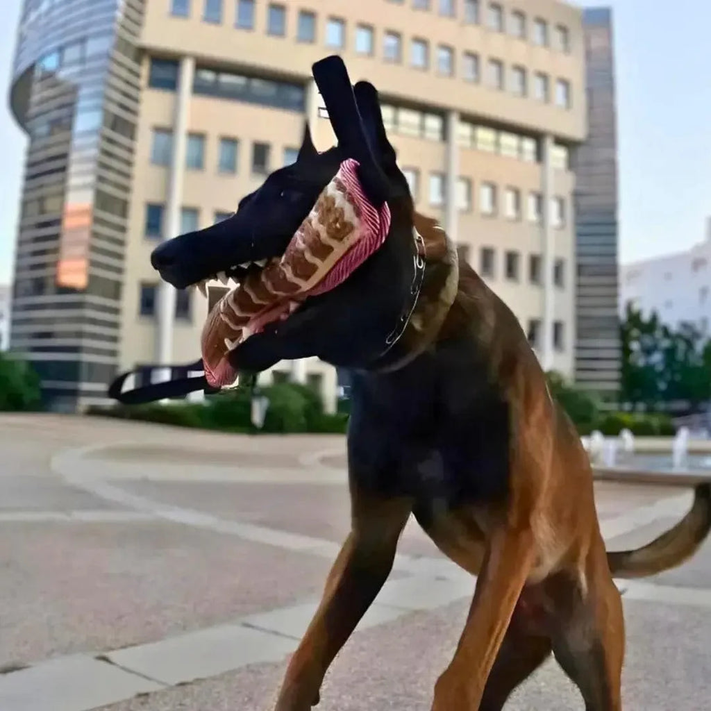 Tug pour chiot - K9 TugMaster : Améliore le focus