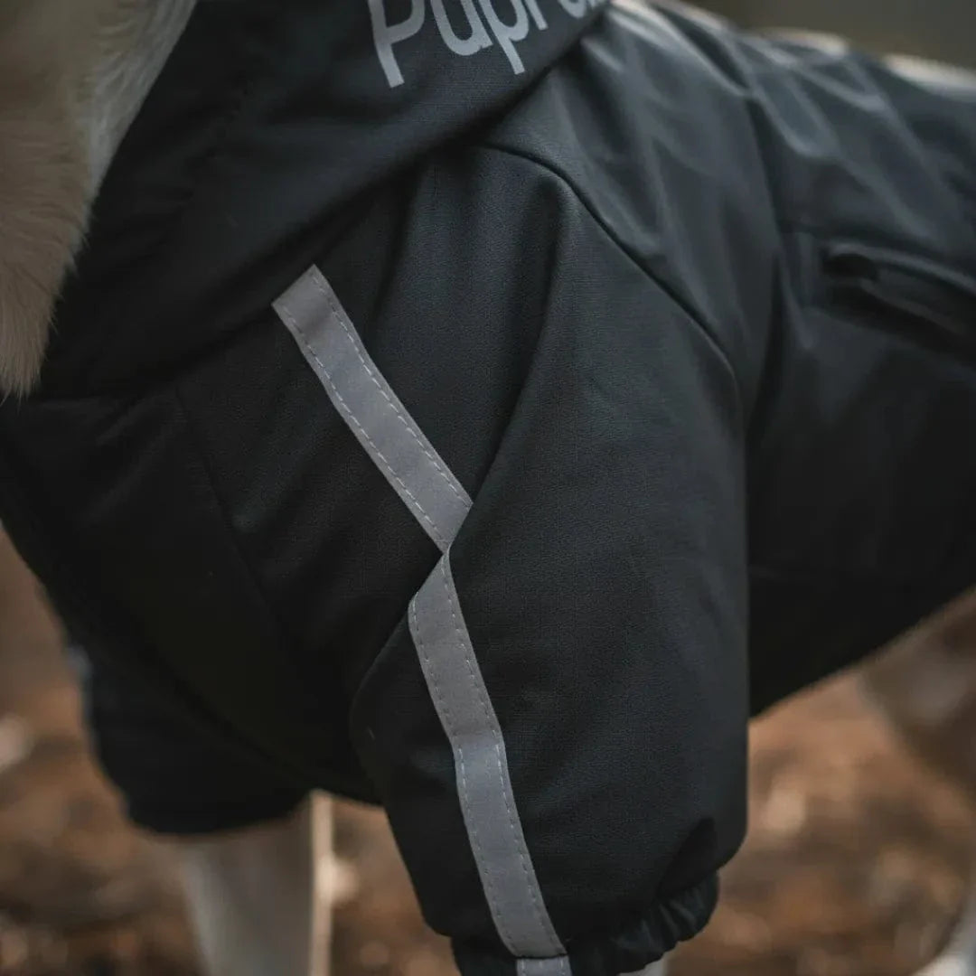 Veste à capuche pour chien - confort et style