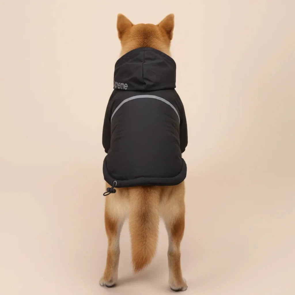 Veste à capuche pour chien - confort et style