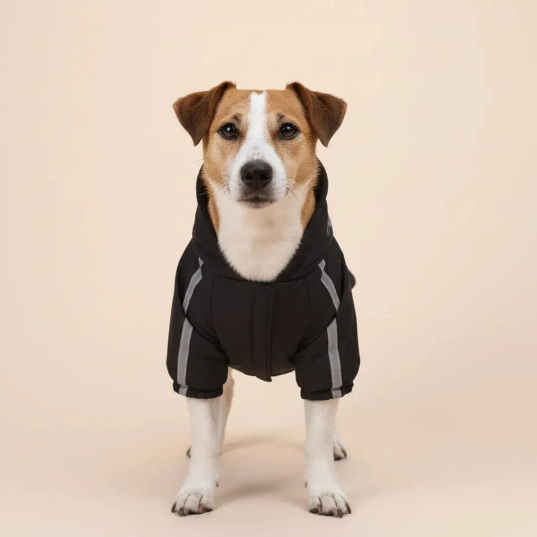 Veste à capuche pour chien - confort et style