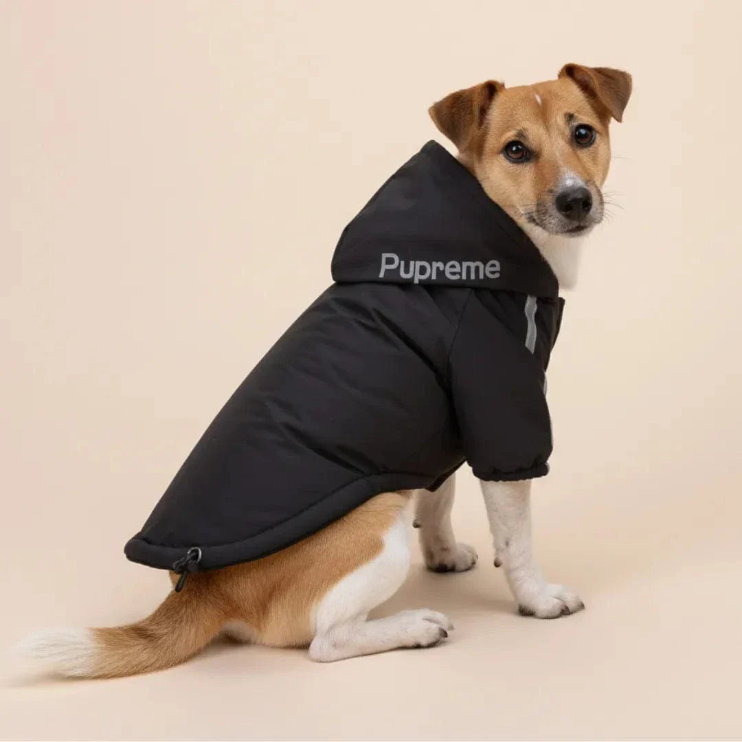 Veste à capuche pour chien - Chaude, pratique et tendance Noir / S