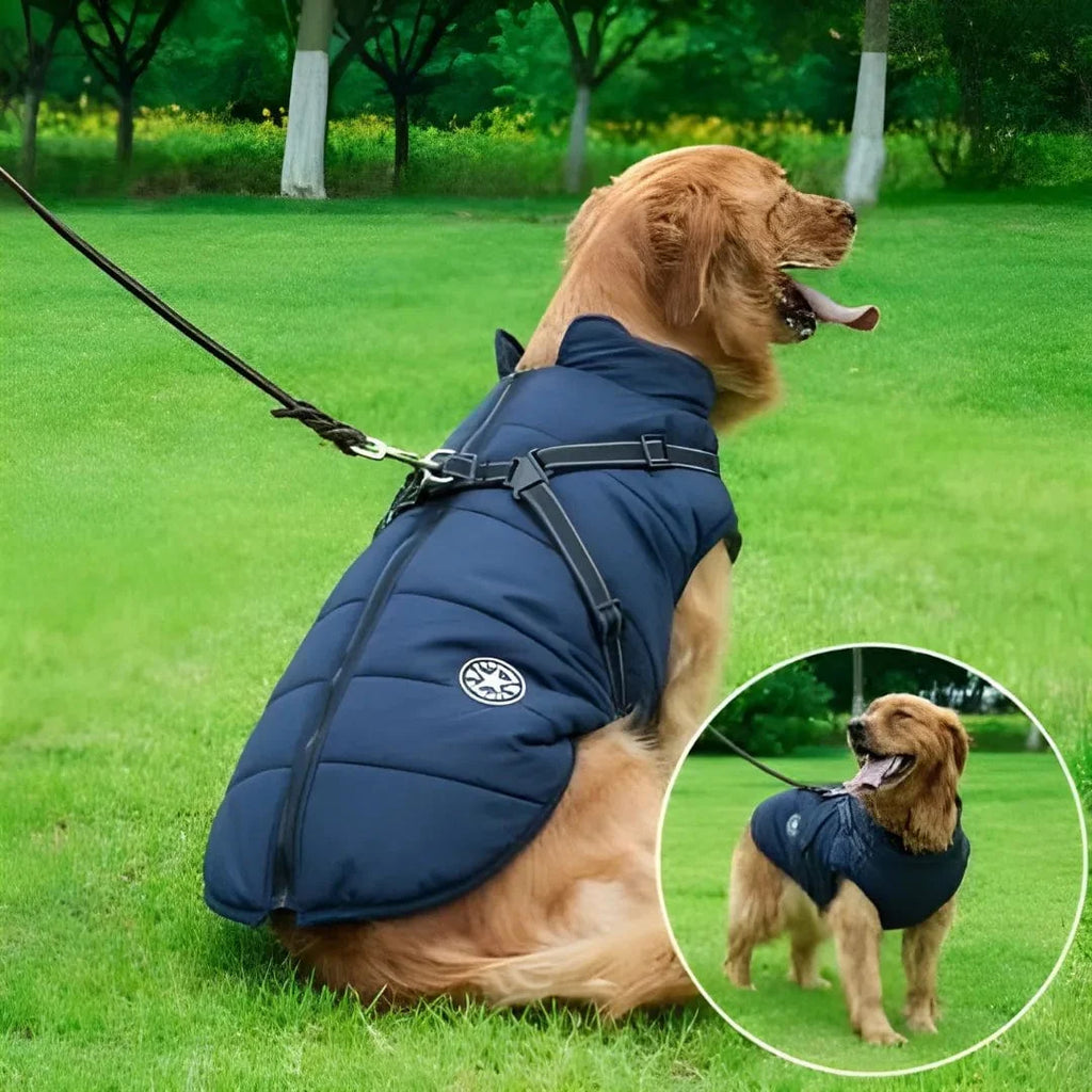 Veste Labrador : Imperméable et Chaude