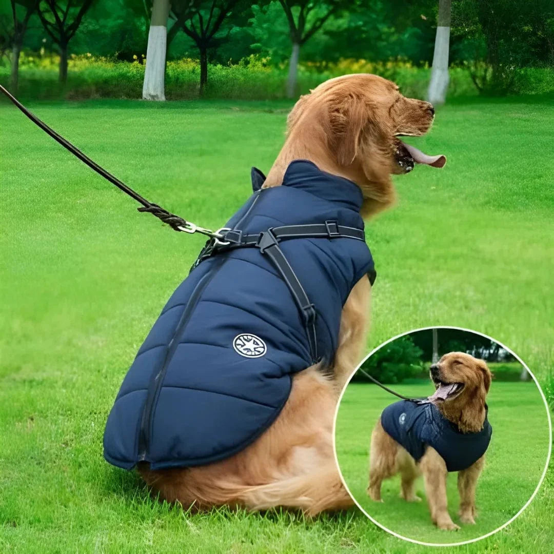 Veste Labrador : Imperméable et Chaude