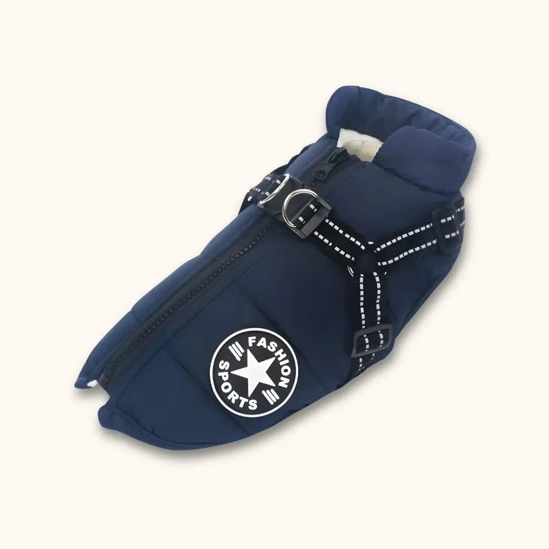 Veste pour Labrador : style, confort et protection réunis Bleu / S