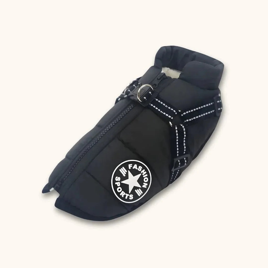 Veste pour Labrador : style, confort et protection réunis Noir / S