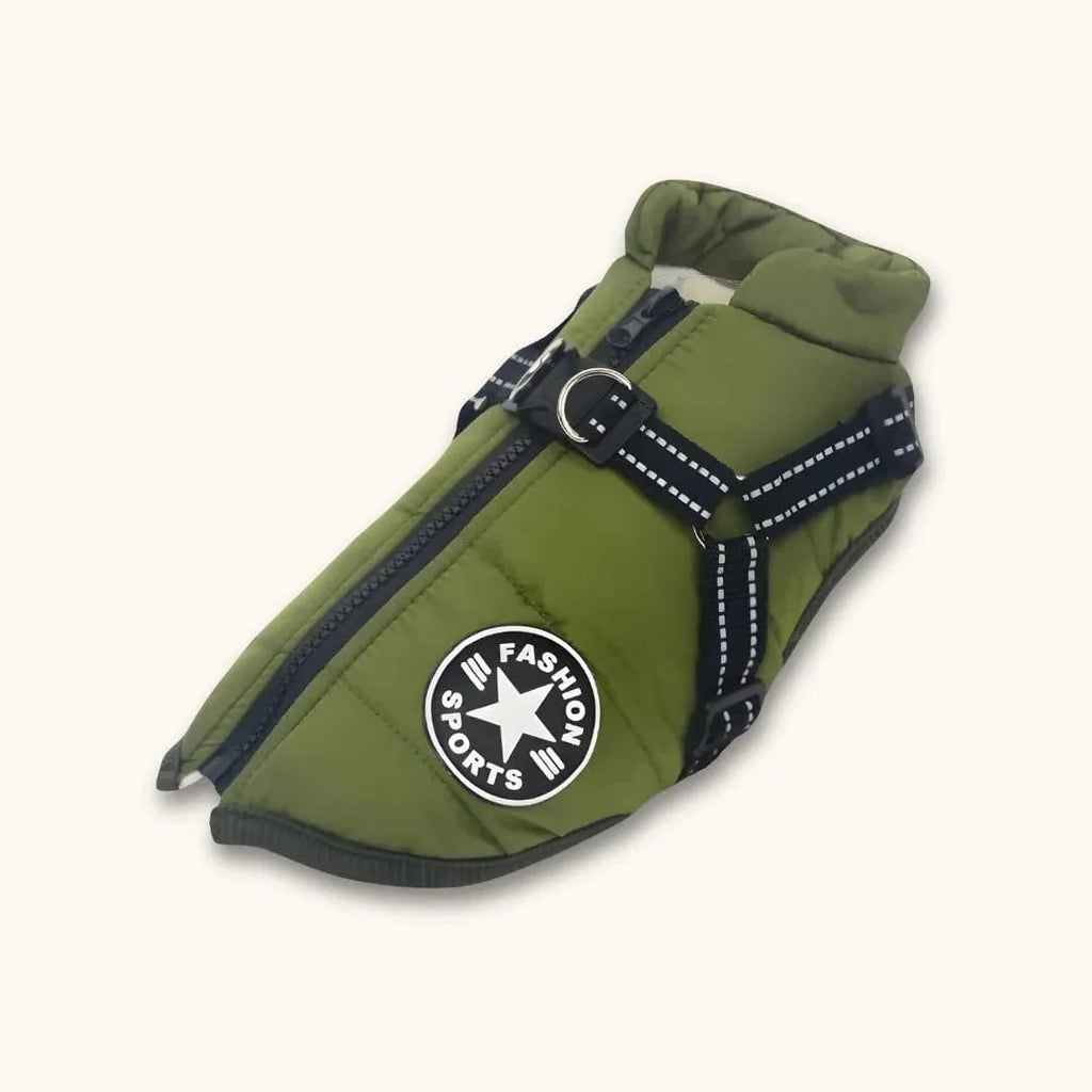 Veste pour Labrador : style, confort et protection réunis Vert / S