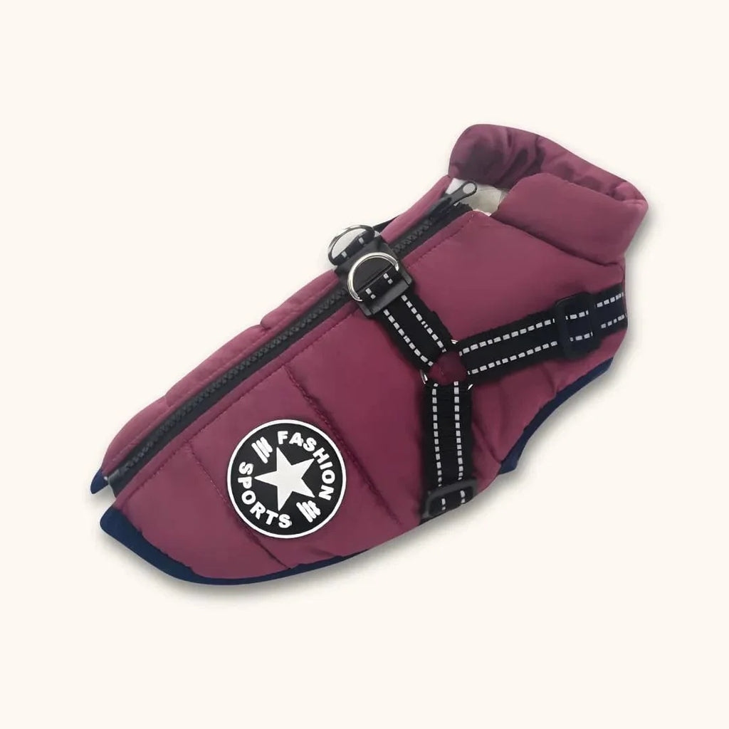 Veste pour Labrador : style, confort et protection réunis Violet / S